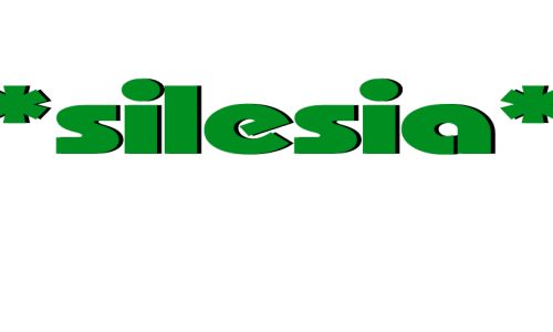 Silesia Żywiec - logo